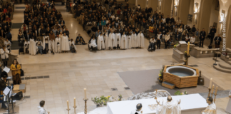 ClujToday.ro: De ce se botează o întreagă generație, din New York până la Paris